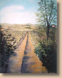 Tuscan murals featuring tuscany vineyards,landscape pictures of tuscan vineyards wineries, tuscany wall murals and tuscany scenes.